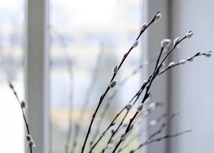 Townhouse Appartement Krakau