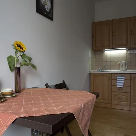 克拉科夫联排别墅 *